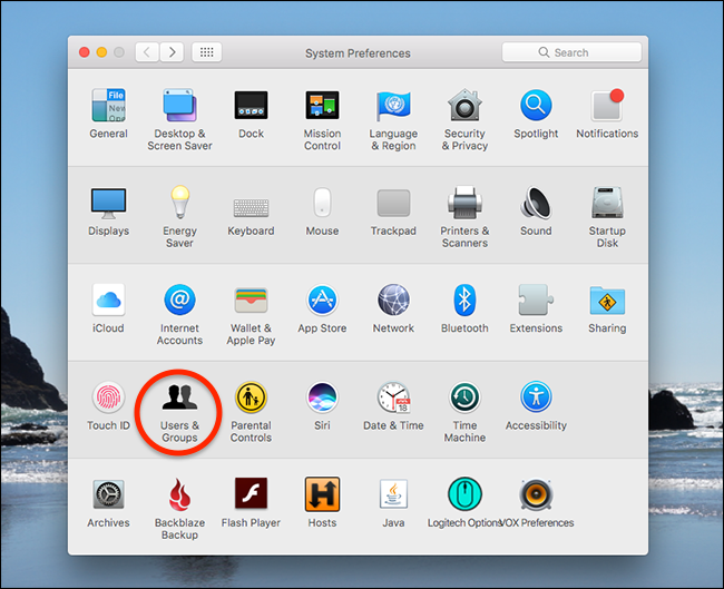 Sharing Only аккаунт на Mac: безопасный обмен файлами
