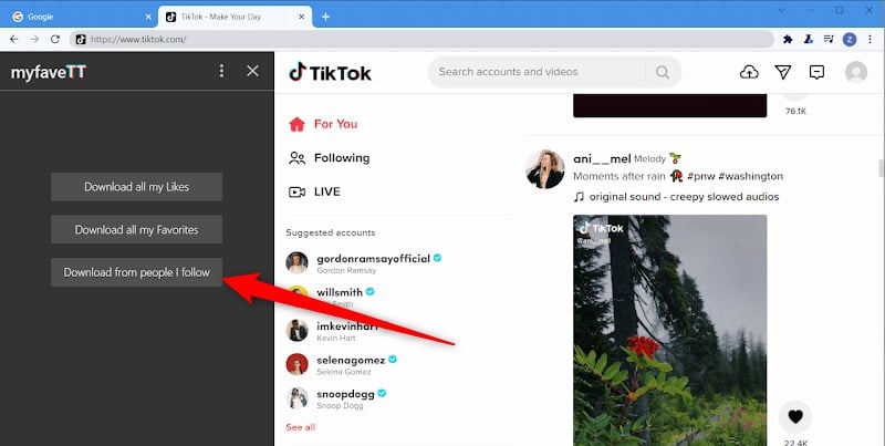 Боковая панель myfaveTT с опциями скачивания