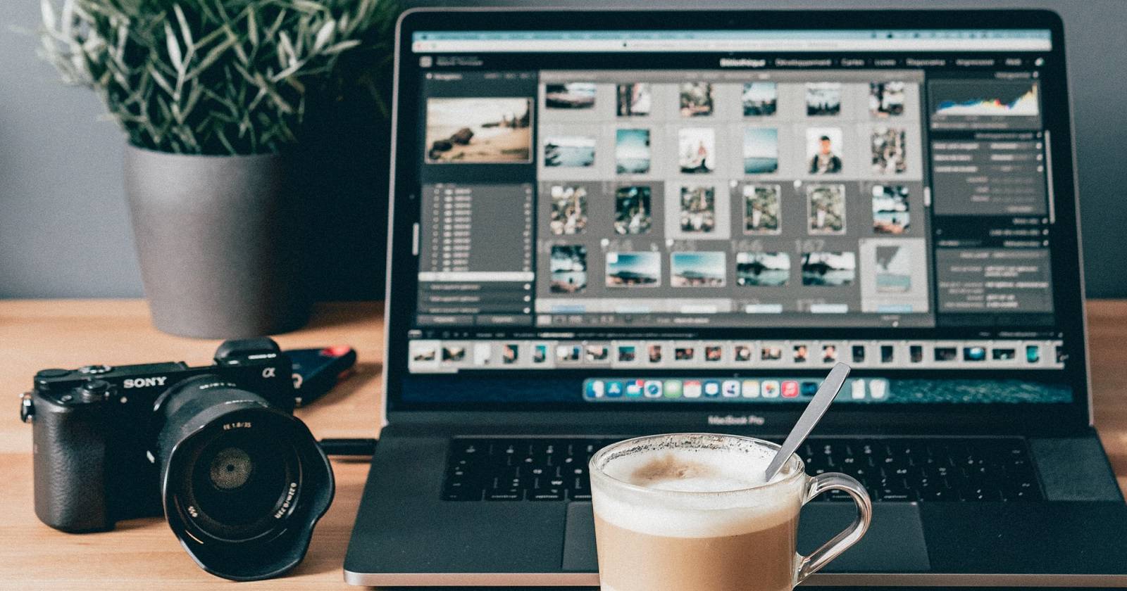 Adobe Camera Raw: полное руководство по RAW