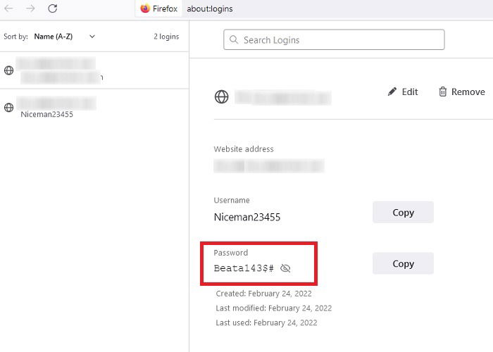 Скриншот: показ сохранённых паролей в Firefox