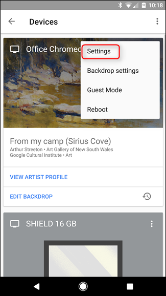 Опция Программа предварительного просмотра в информации об устройстве