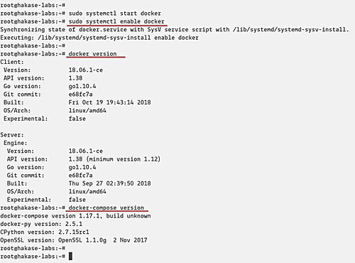 Вывод версий Docker и Docker Compose