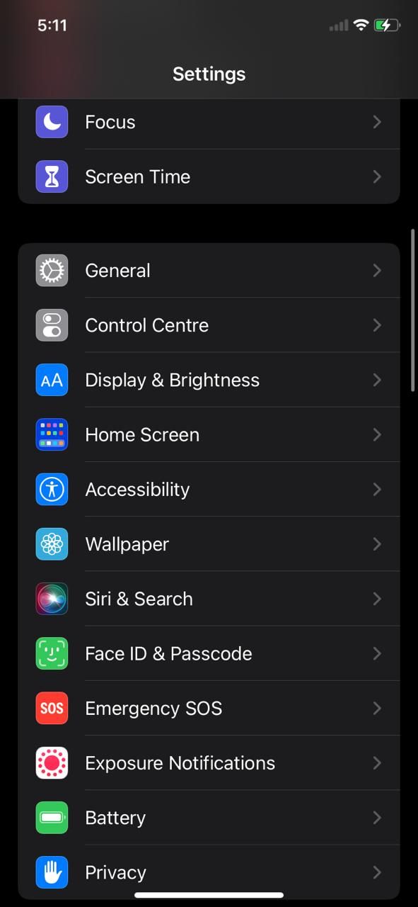 Экран настроек iOS с включённым Управлением голосом