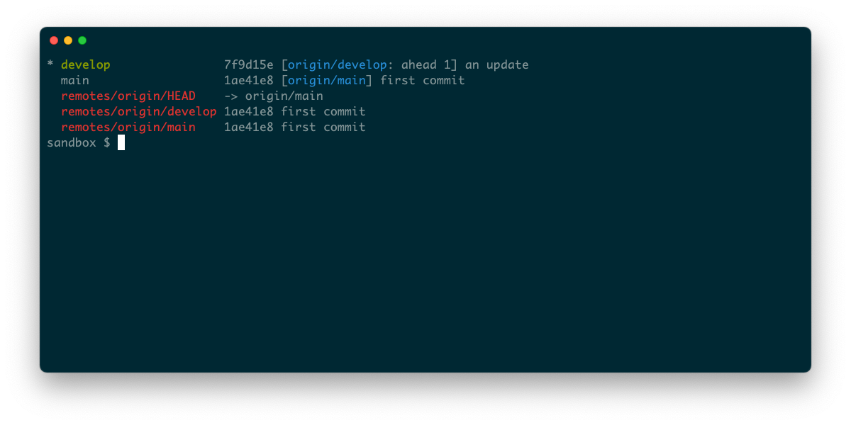 Терминал с выводом git branch -vva