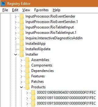 Раздел реестра с ключами продуктов и значением 