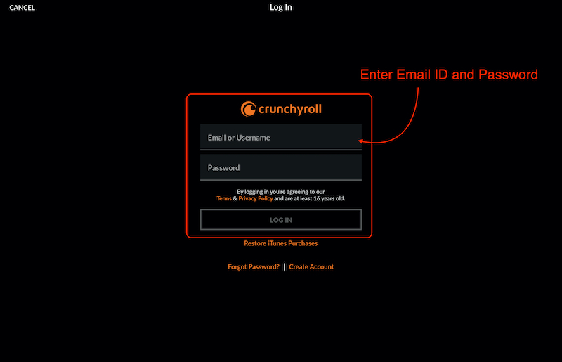 Экран входа: email и пароль на iPad