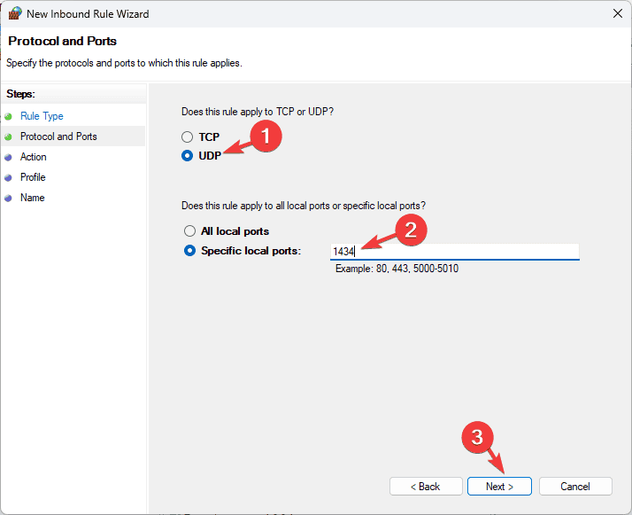 Выбор UDP и указание порта 1434