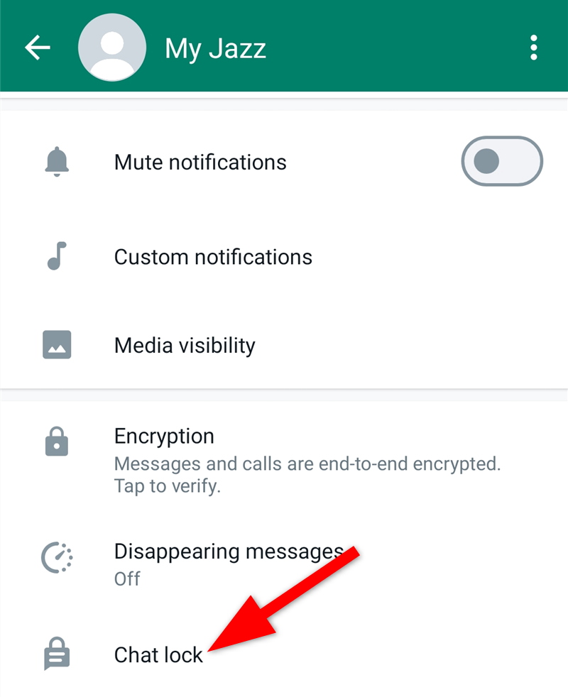 Кнопка Chat Lock среди других настроек индивидуального чата