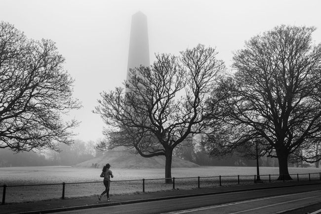 dodged and burned image