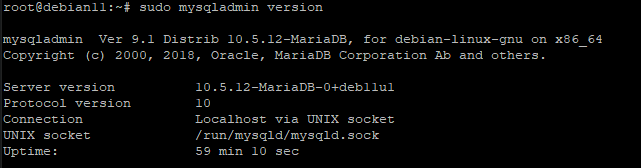 Вывод mysqladmin version