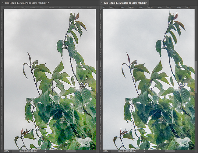 Фото: результат агрессивной обработки — RAW слева, JPG справа