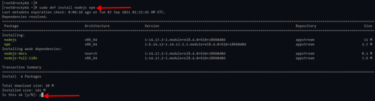 Установка Node.js и npm на Rocky Linux