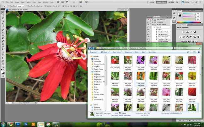 Photoshop Actions: сотни правок за секунды