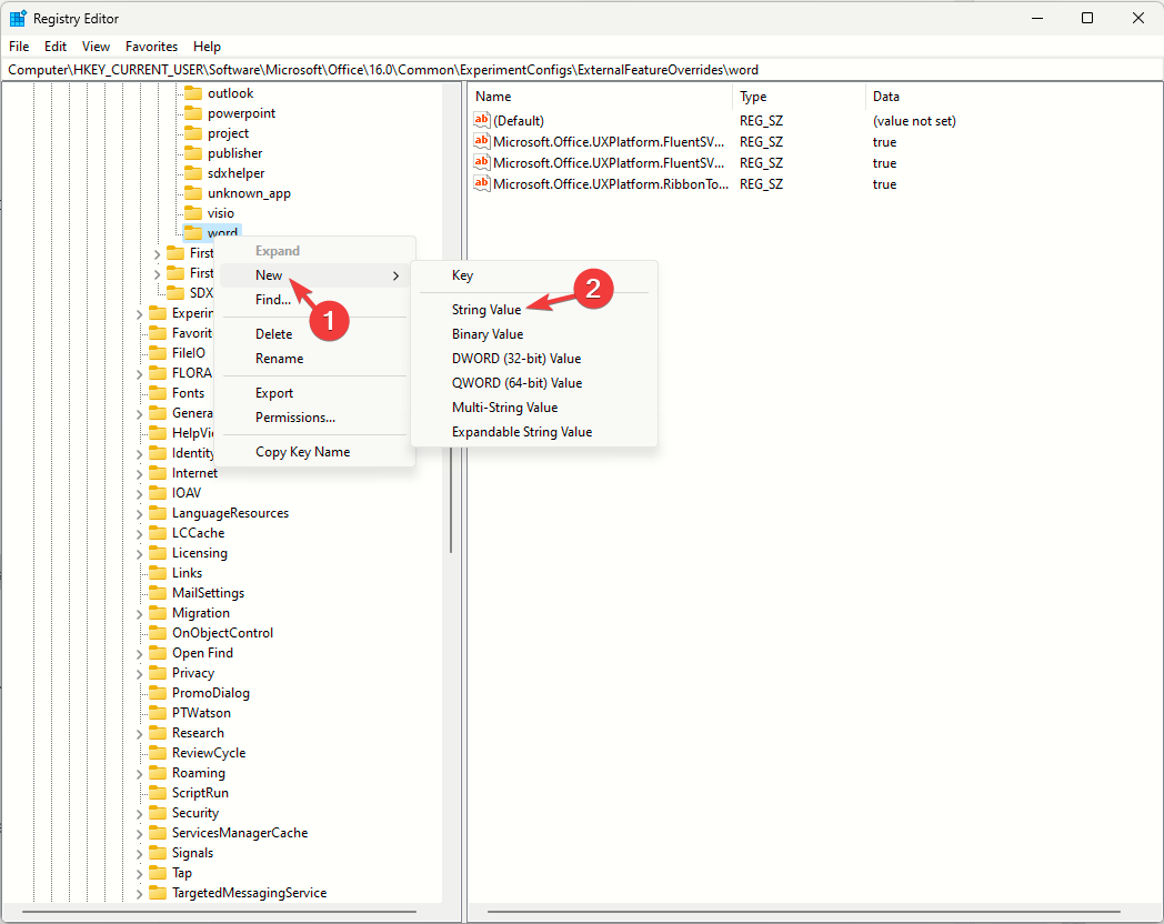 Создание строкового значения в ветке word реестра