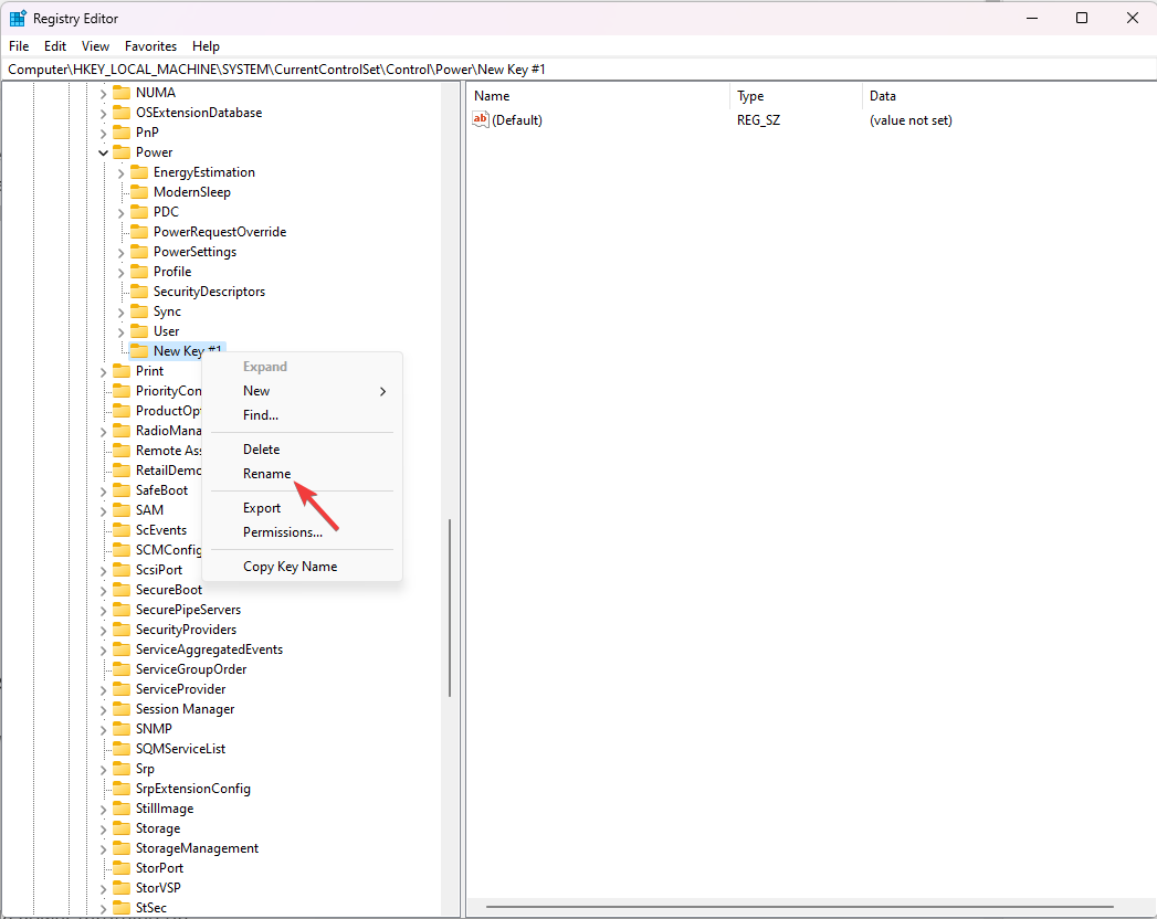 Переименование ключа в PowerThrottling