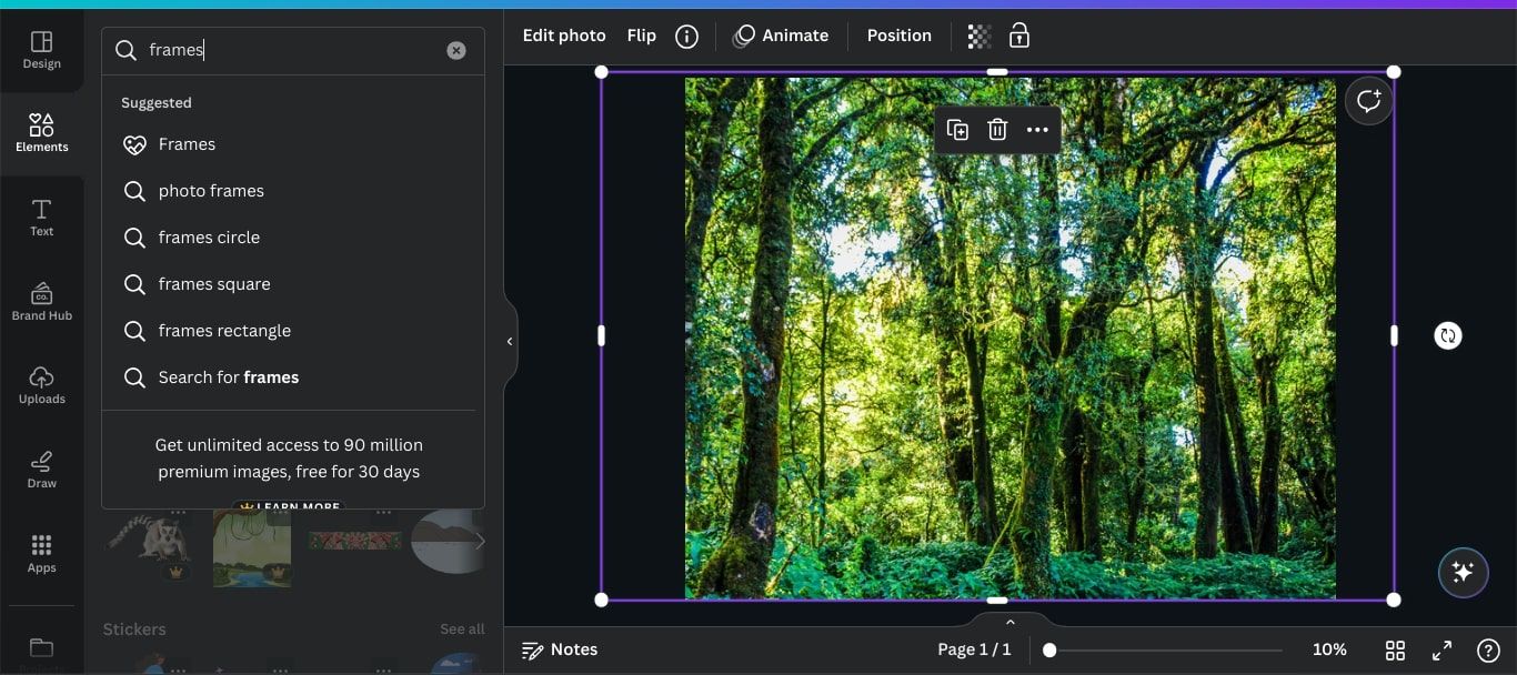 Раздел «Рамки» в Elements Canva
