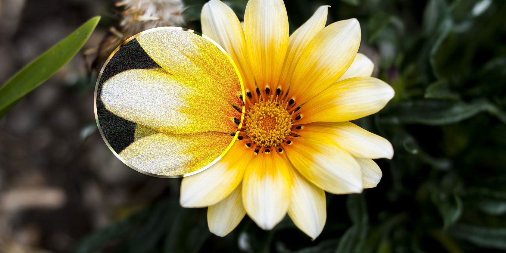 Как уменьшить шум на фотографиях — руководство