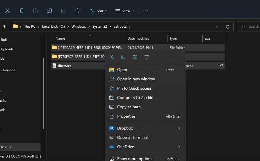 Окно Проводника, папка catroot2
