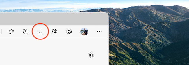 Downloads button pinned to the Microsoft Edge toolbar.