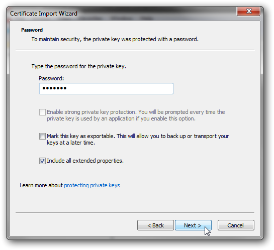 Ввод пароля при импорте PFX
