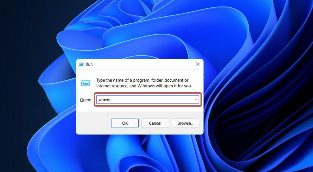 winver-run dxgmms2.sys windows 11