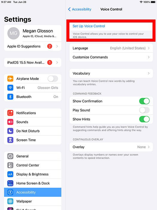 Установка голосового управления