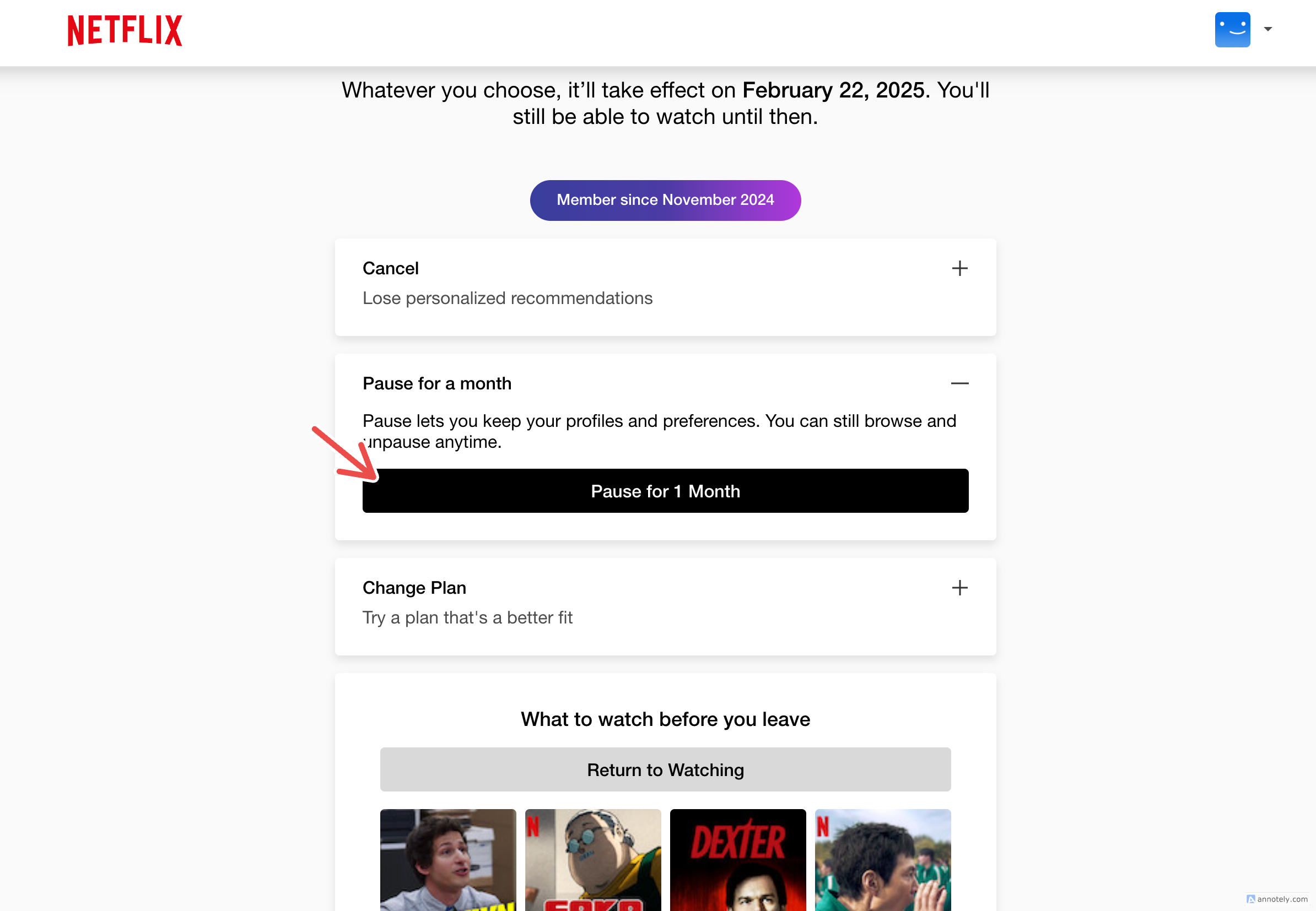 Приостановка подписки в Netflix.