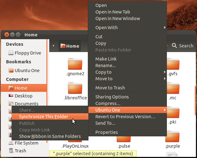 /wordpress/wp-content/uploads/2012/03/ubuntu-one-3.png