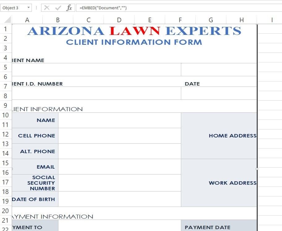 Скриншот, отображающий EMBED в строке формул