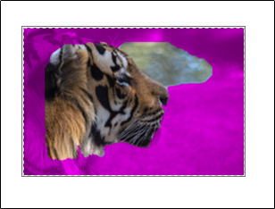 Параметры удаления фона в Word