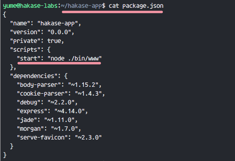 Конфигурация сервисов express в package.json