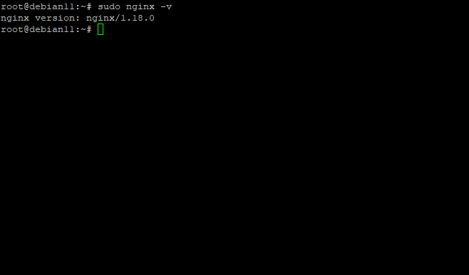 Версия установленного nginx в терминале
