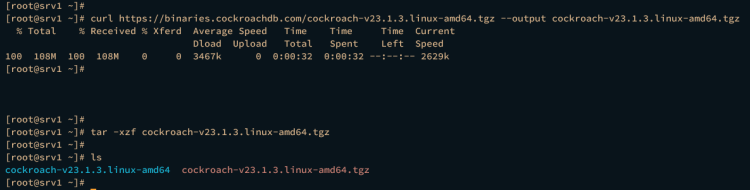 скачивание cockroachdb