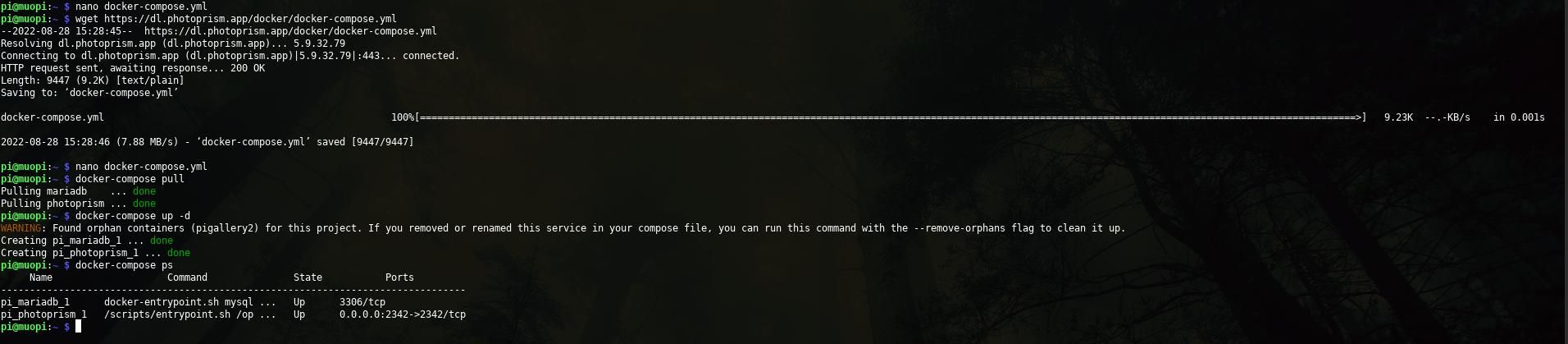 terminal output for docker-compose commands