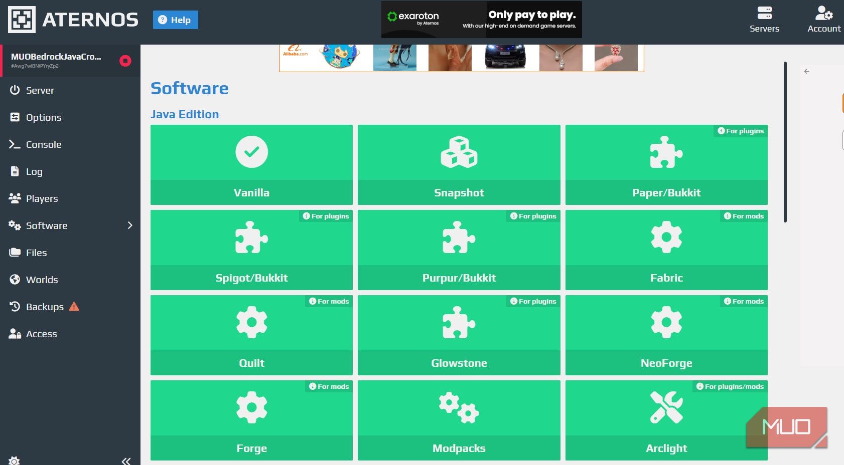 Выбор программного обеспечения в Aternos