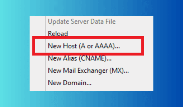 Configurar DNS en Windows Server