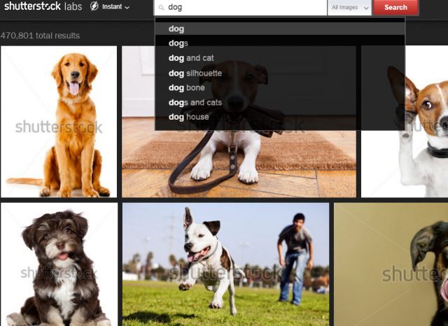 Интерфейс Shutterstock Instant с выпадающими подсказками и динамическими результатами по мере ввода запроса