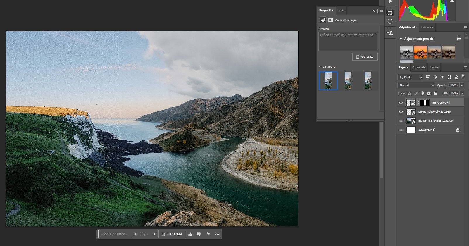 Шаг 3 Выберите лучшую вариацию в Photoshop Beta