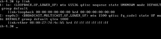 Вывод ip link с именем интерфейса enp0s3