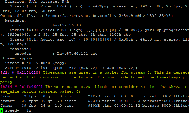 Стрим с Raspberry Pi на YouTube — пример мониторинга