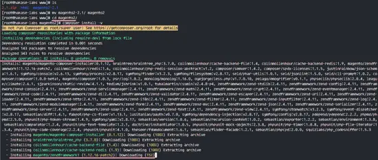 Установка зависимостей Magento через Composer