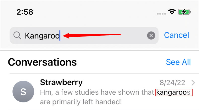 Поиск слова «Kangaroo» с одним результатом в списке разговоров. 