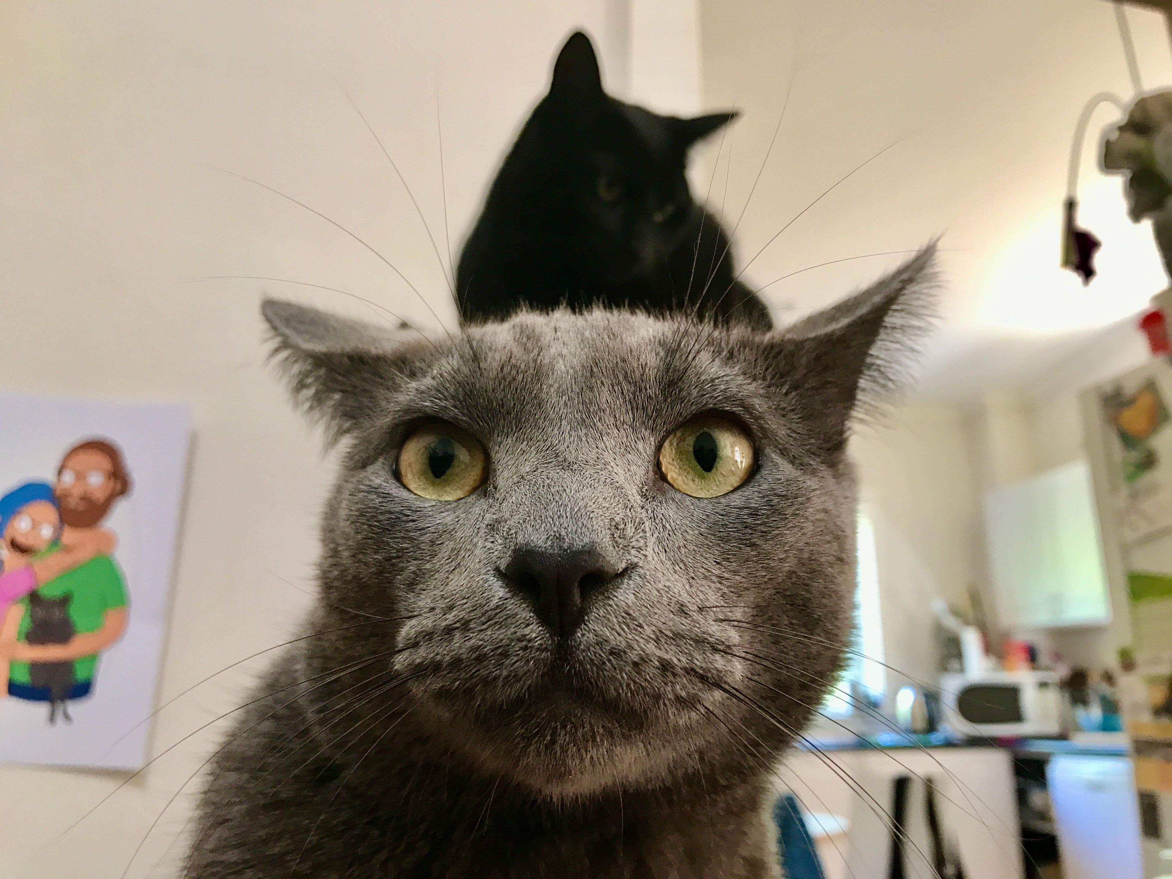 Роджер выглядит обеспокоенным.