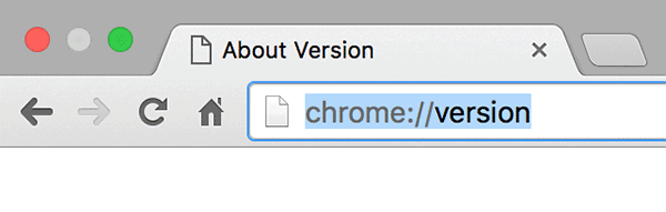 Страница chrome://version с выделенным Profile Path