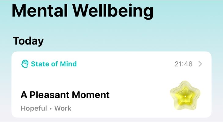 Лог State of Mind в приложении «Здоровье».