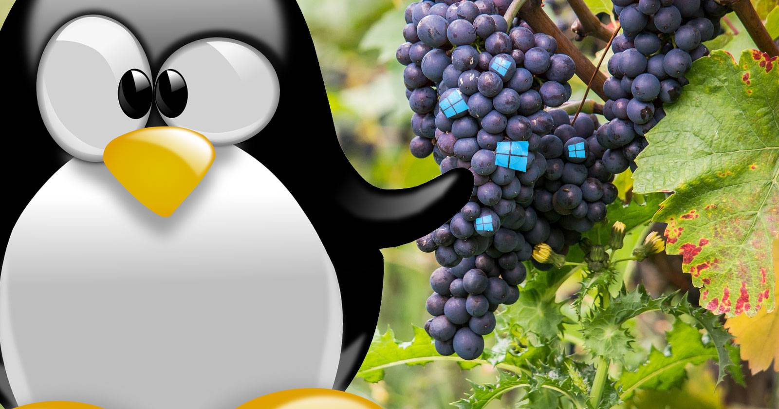 Интерфейс Vineyard для запуска Windows-приложений в Linux