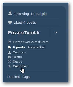 Настройки приватности и опции индексации в панели Customize