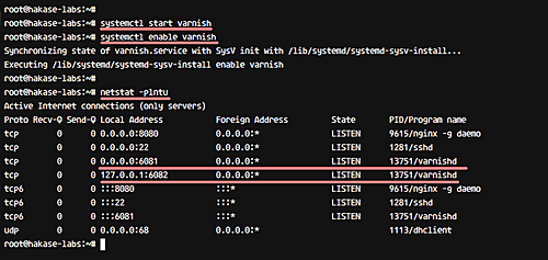 Запуск и проверка Varnish — вывод netstat для портов 6081/6082