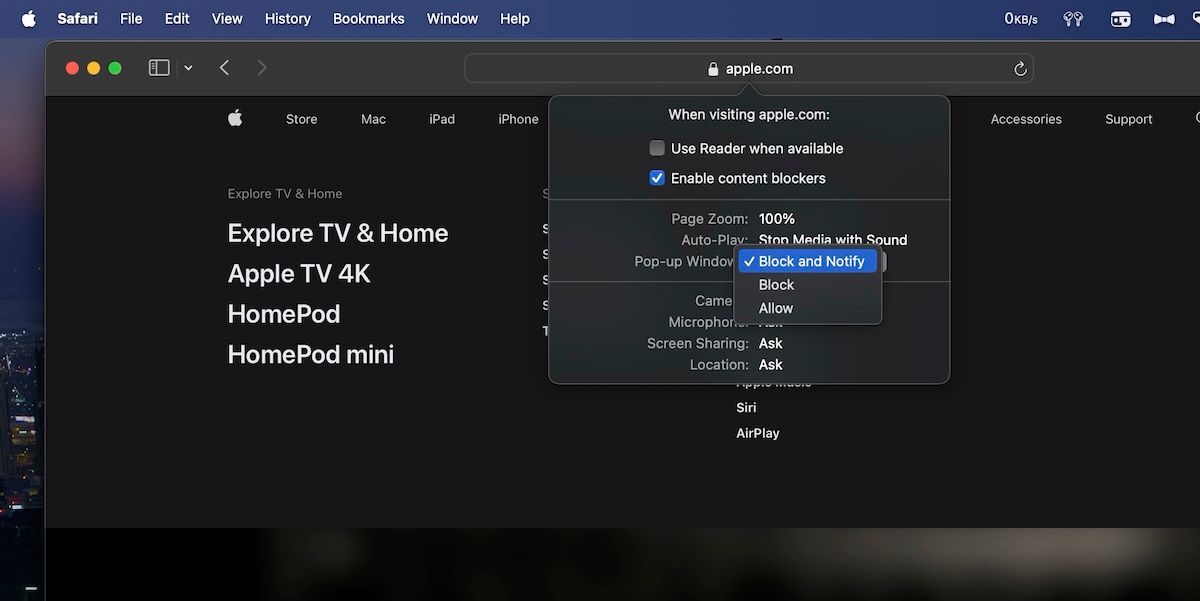 Параметры сайта в адресной строке Safari