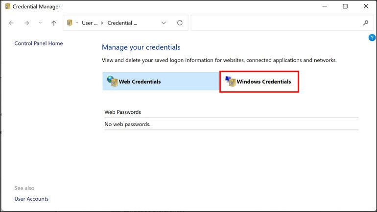 Windows credentials